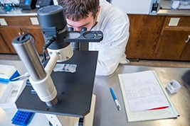Male student looking into a microscope